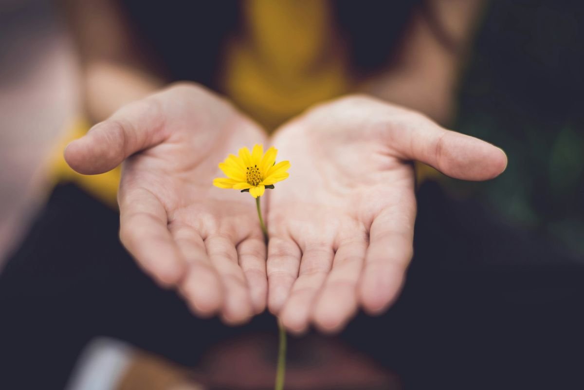 Encontre equilíbrio e paz com as consultas de Reiki Usui